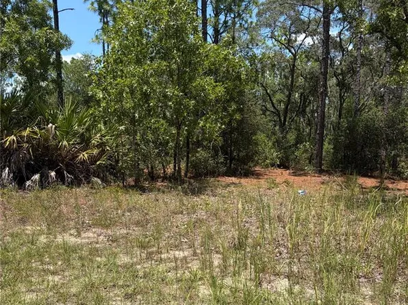 3711 W NORWICK PLACE LOT 2, CITRUS SPRINGS, FL 34433