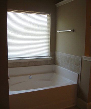 Owners bathtub