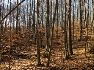 Lot 15 Kiefer Strasse, Bellaire, MI 49615