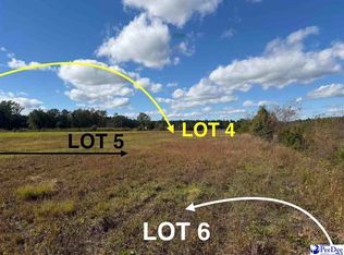 LOT 4 Mallory Beach Rd, Latta, SC 29565