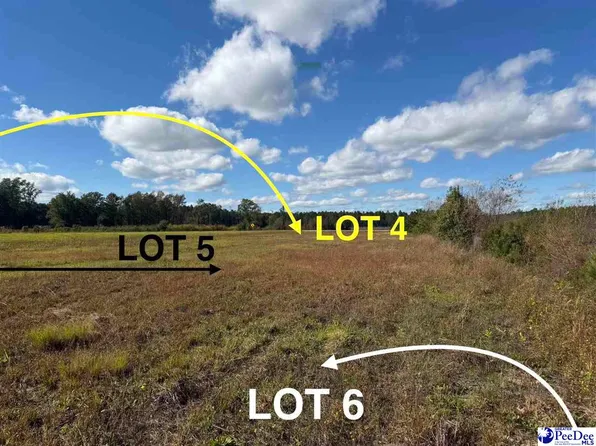 LOT 4 Mallory Beach Rd, Latta, SC 29565