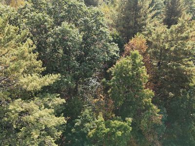 359 Four Oaks Ln, Caldwell, WV, 24925