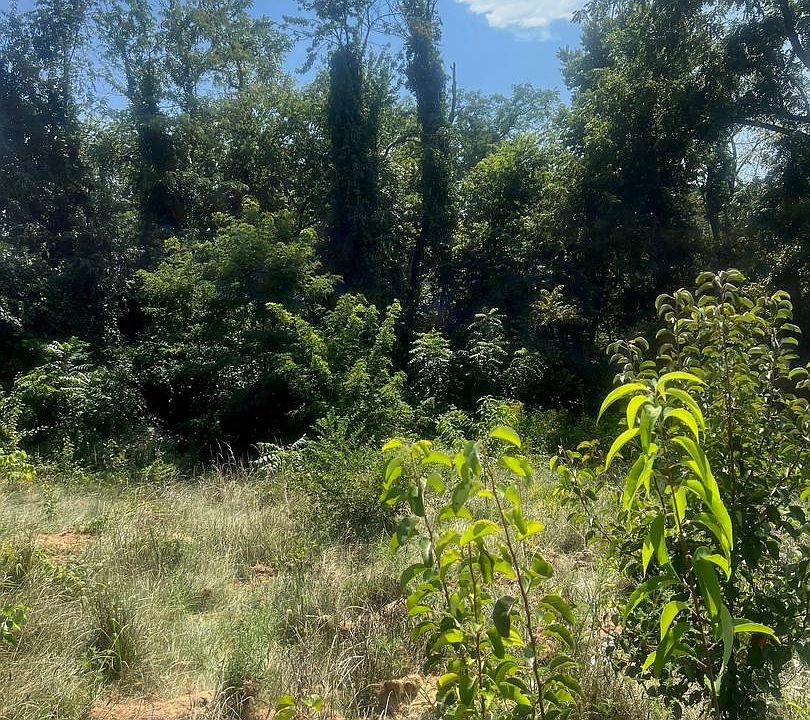 2nd image of 0 Mahantango Dr