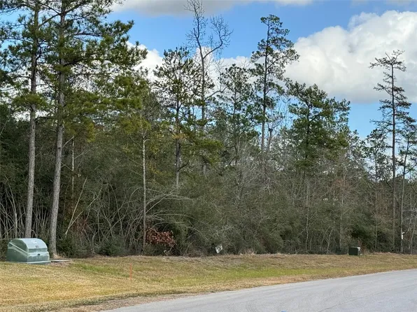10693 Ruger Rd, Willis, TX 77378