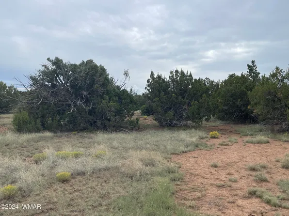 236 Colorado Ave, Concho, AZ 85924