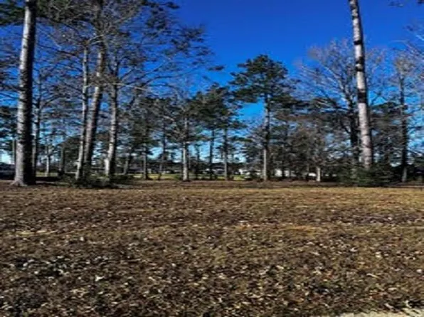 30747 Wild Iris Way, Springfield, LA 70462