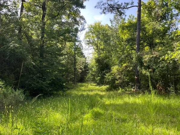 Paul Gallows Rd, Hermanville, MS 39086
