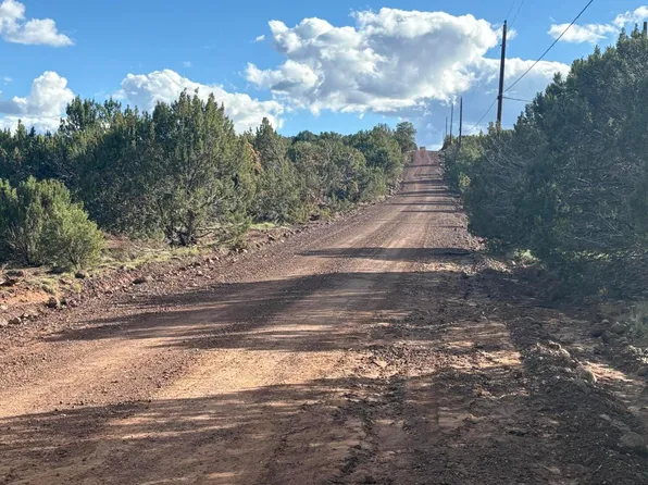 25 County Road 8238, Vernon, AZ 85940