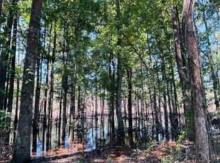 0 Suggs Mill Pond Rd LOT 6, Reynolds, GA 31076