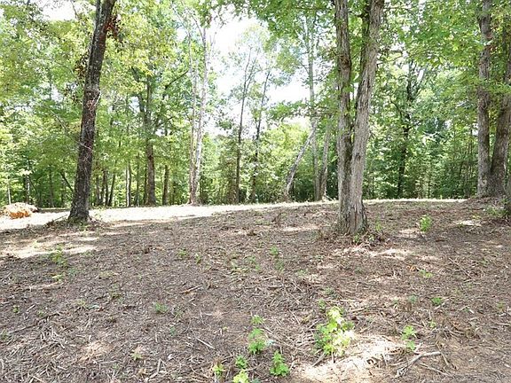 2nd image of 191 Waterview Dr Lot 15