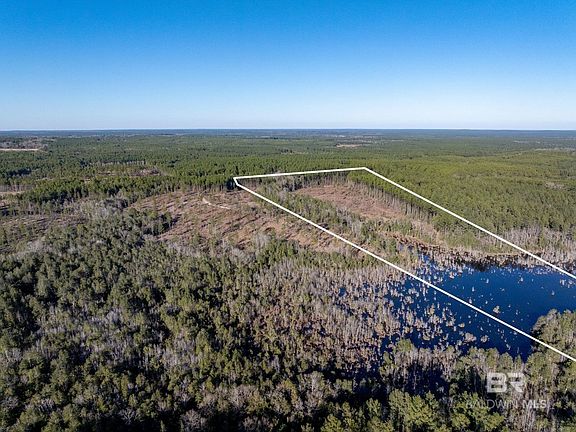 3rd image of 2 Beverly Jeffries Hwy