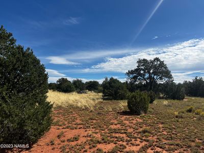 4446 Goldenrod Rd, Williams, AZ, 86046