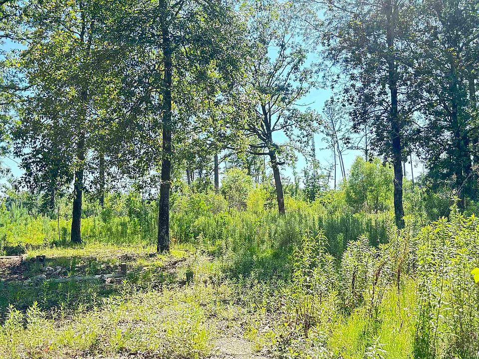 2nd image of 2353 Lee Cir
