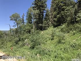 5th image of 2353 S Pine Meadow Dr #Pi-c-61
