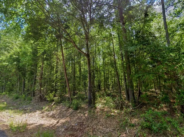 21 Lee Rd #140, Salem, AL 36874