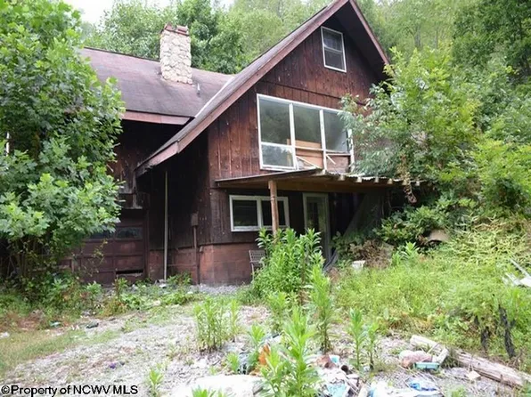 316 Burton Hill Rd, Burton, WV 26562
