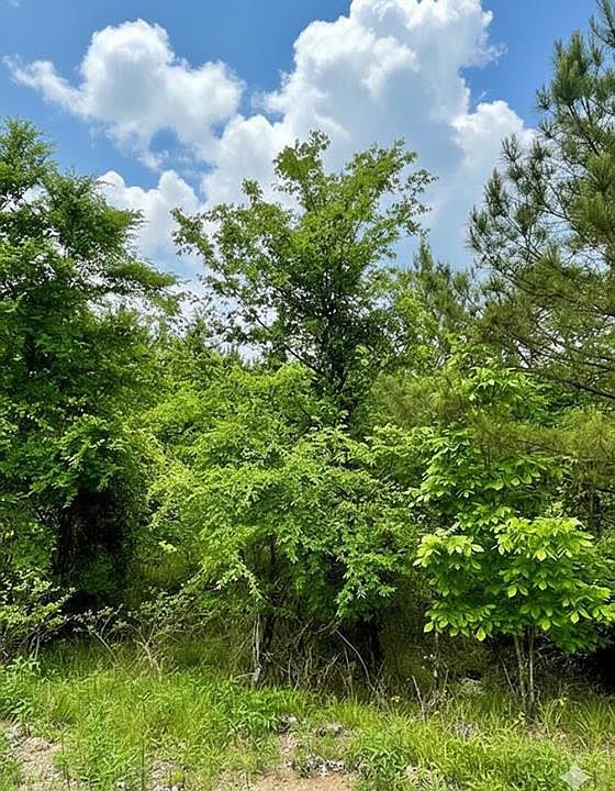 1st image of 665 Timber Creek Trails South Cir Lot 655