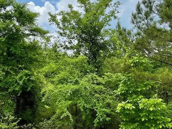 665 Timber Creek Trails South Cir Lot 655, Broken Bow, OK 74728