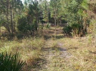 1350 Deer Path Dr, Osteen, FL 32764