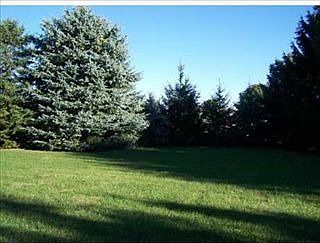 4th image of 3025 Magnolia Dr