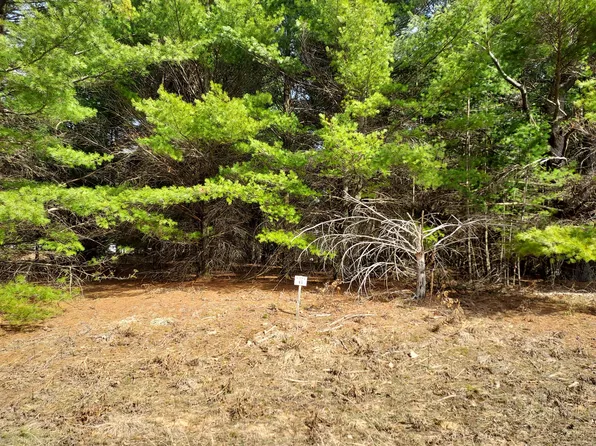 LOT 6 White Pine Mdws, Evart, MI 49631