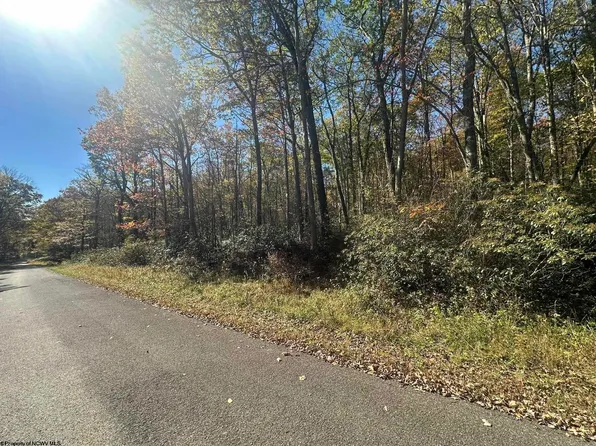 653 Pine Dr, Terra Alta, WV 26764