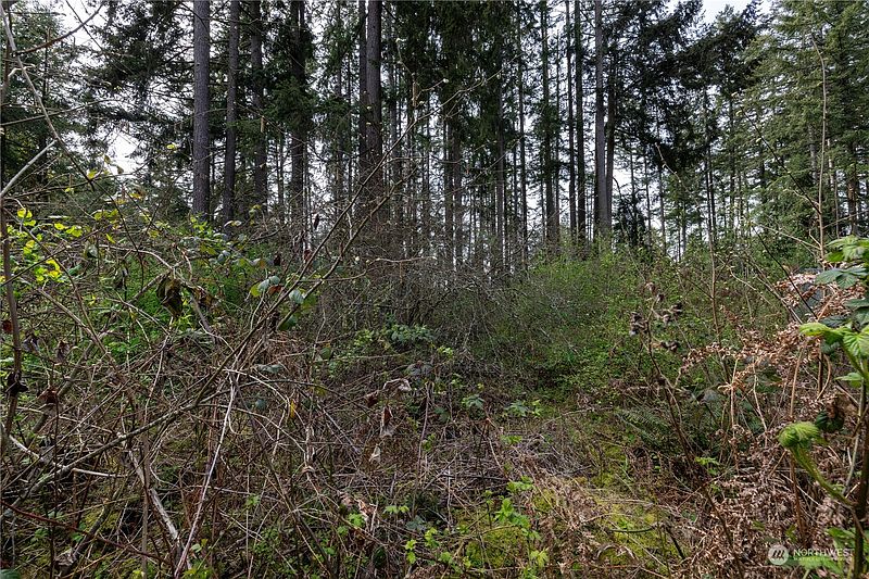 2nd image of 0 (Lot 2) 95th Avenue Ct E