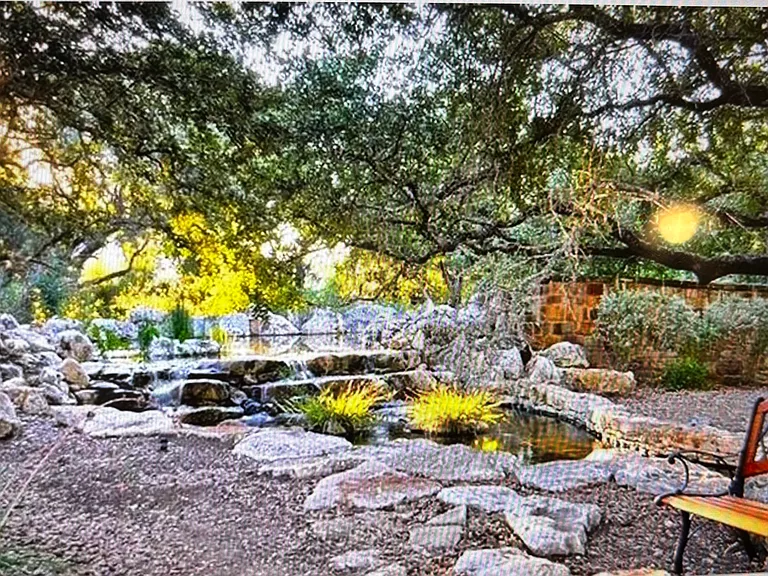 Zen Pond