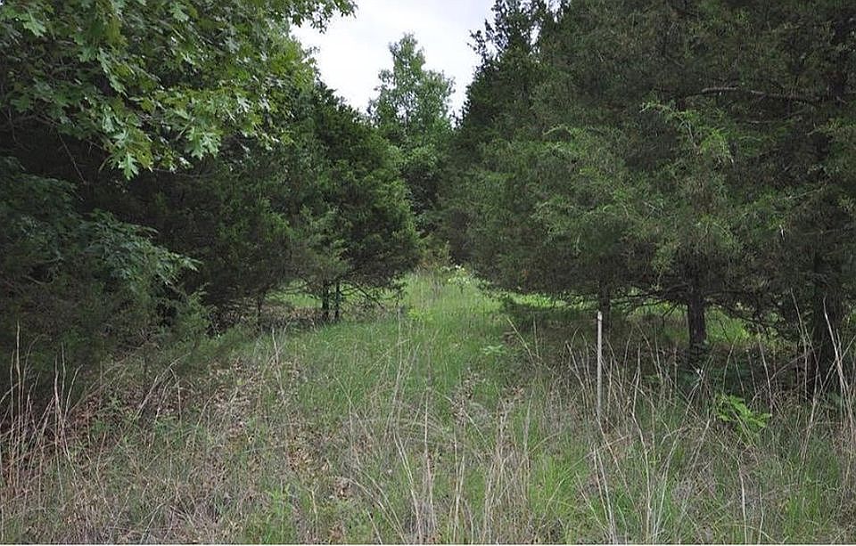 Lot 2303