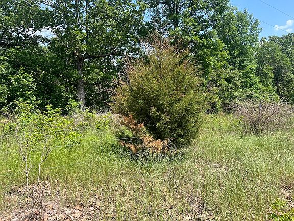 4th image of Tbd County Road 323