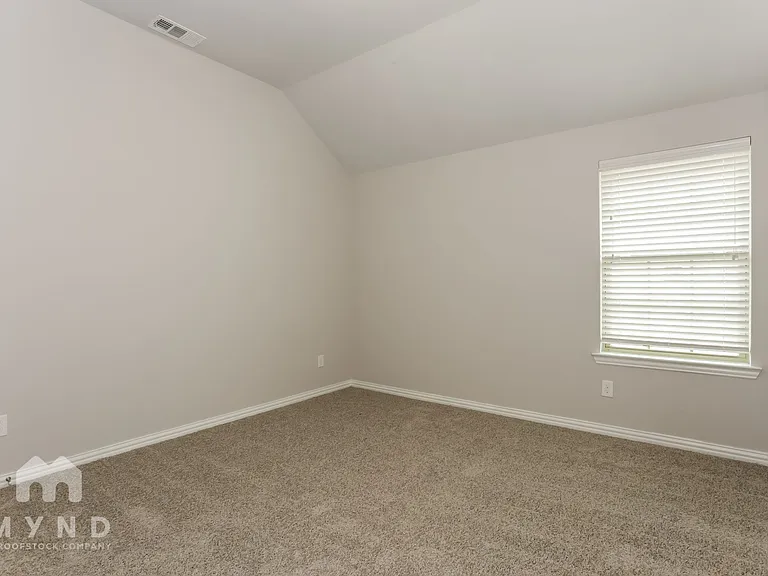 3113 Damsel Sauvage Ln — Photo 18
