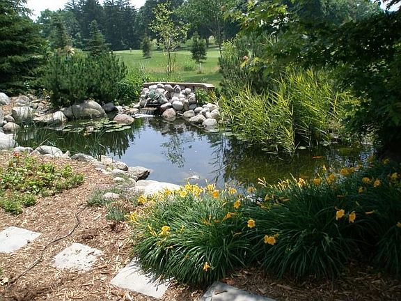 Koi Pond