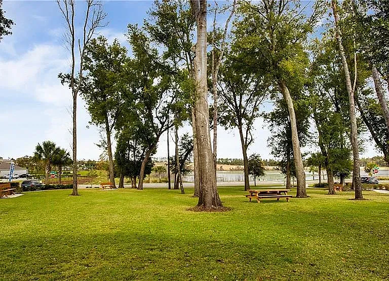 2926 Black Birch Dr — Photo 20