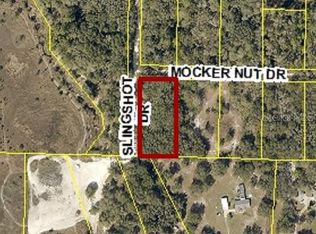 Mocker Nut Dr, Webster, FL 33597