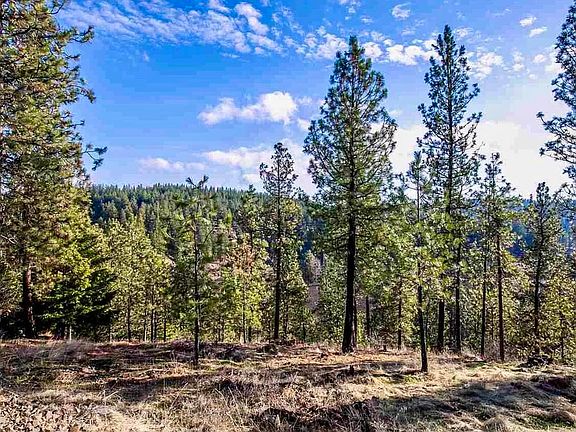 3rd image of 2410 E Hangman Creek Ln