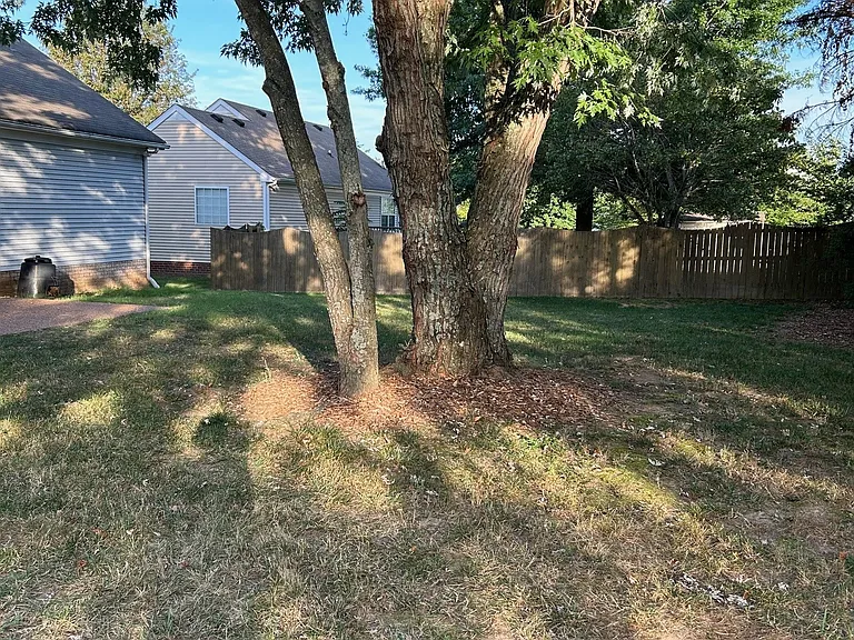 Back yard offers tons of shade from large trees