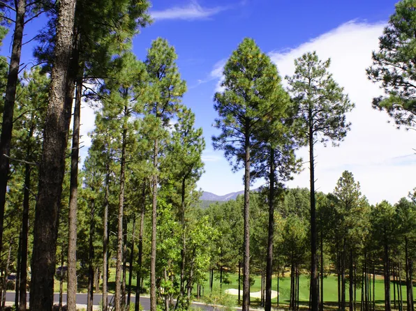 3630 S Lariat Loop, Flagstaff, AZ 86005