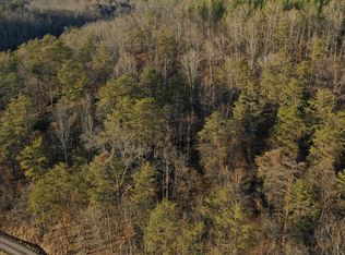 1144 Conrad Run Rd, Palestine, WV 26160