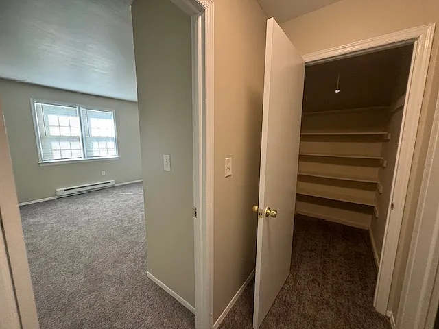 Large Hallway Closet in One Bedroom