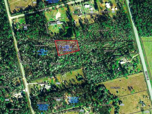 Ganley Rd Lot 64B, Wewahitchka, FL 32465