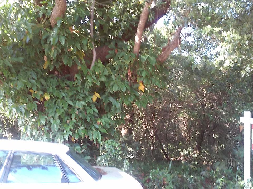 pic-2