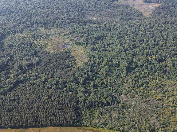 2nd image of 0 Area Rd #4