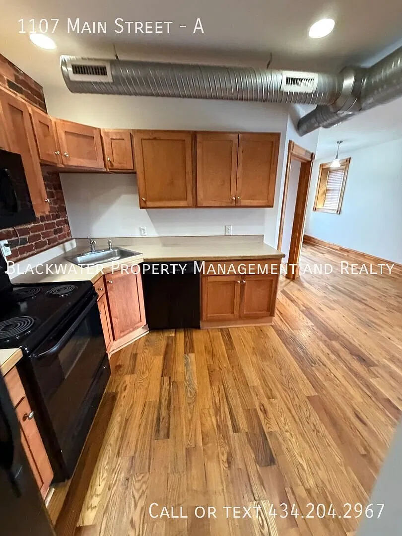 1 Bedroom Apartment in Downtown Lynchburg! — Photo 3