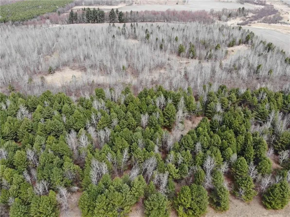 20.08 Acres County Highway B, Fairchild, WI 54741