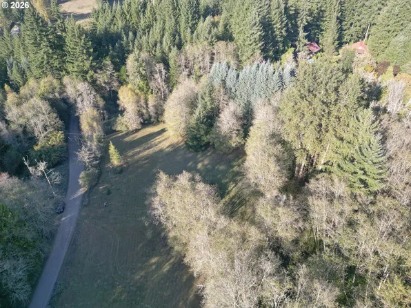 0 NE 142nd Ave, Amboy, WA 98601