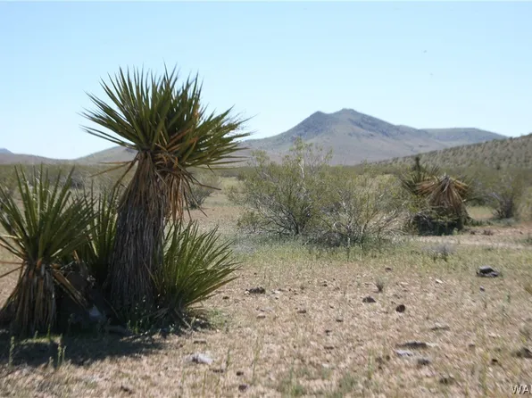 125 Macon Crest Ave, Dolan Springs, AZ 86441