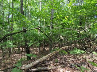 0 N Silver Ridge Rd, Mears, MI 49436