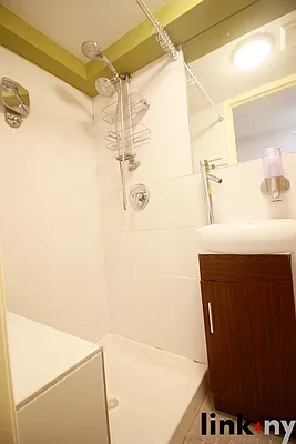 Rented by Link NY Realty | media 6