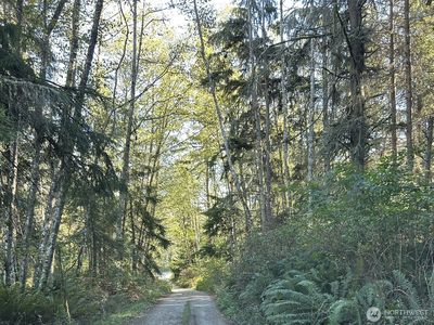 0 Forest View Lane, Greenbank, WA, 98253