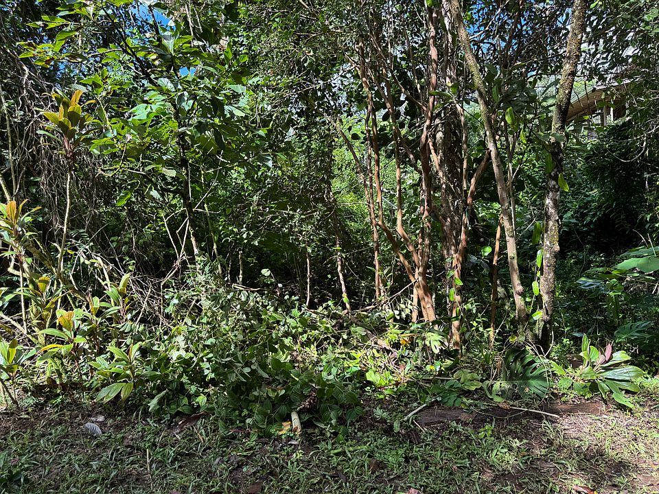 1st image of Puna St Lot 586